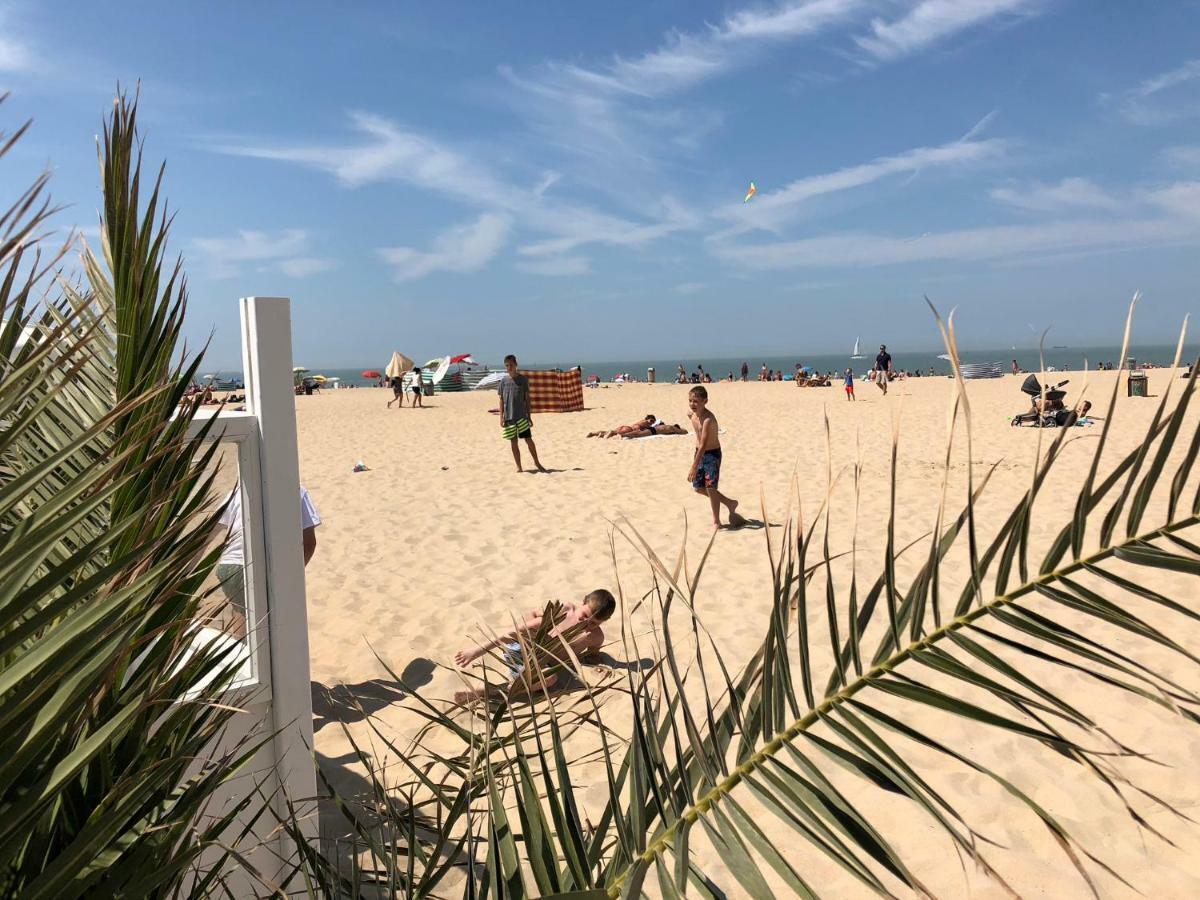 Panoramic View On Beach, Ships, Sea - Place To Be أوستيند المظهر الخارجي الصورة